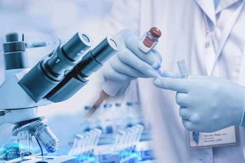 進賢高質量發展邁出堅實步伐 38個億元以上項目助推企業管理升級