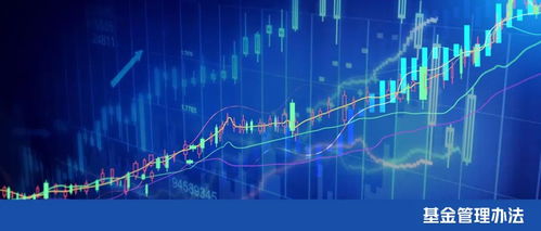 上海黃浦區(qū)政府投資基金管理辦法發(fā)布 賦能區(qū)域經(jīng)濟(jì)高質(zhì)量發(fā)展的新引擎